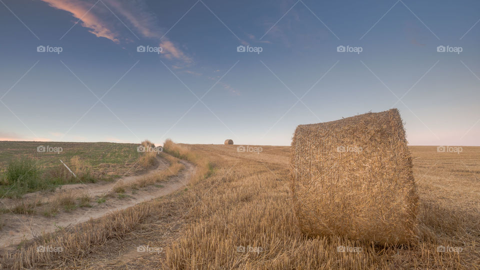 Osieczna, Leszno, Poland