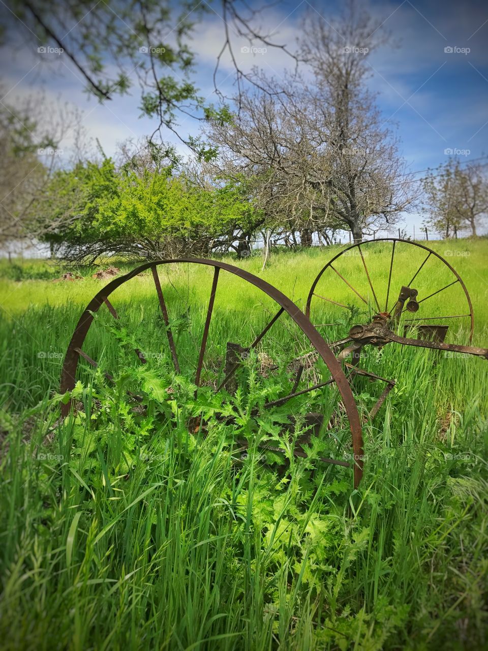 Wagon wheels of days gone by 
