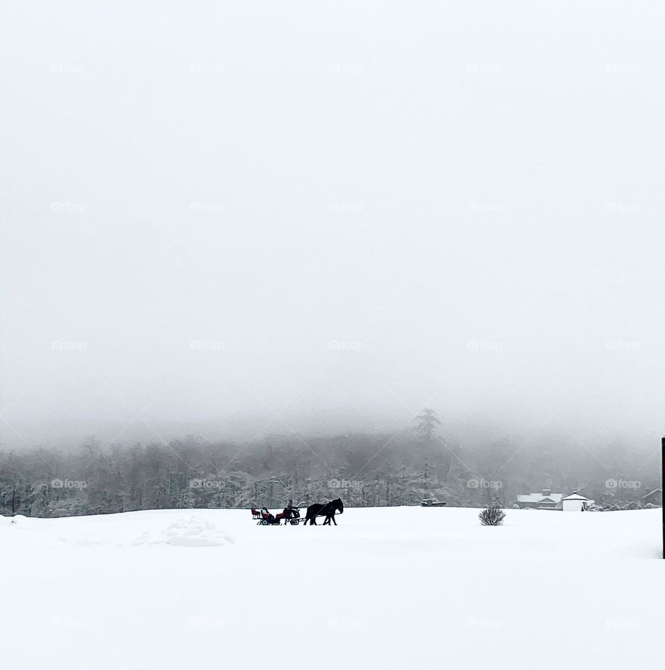 Horseback riding 