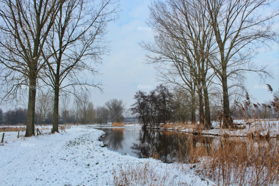 snow winter nature water by twilite