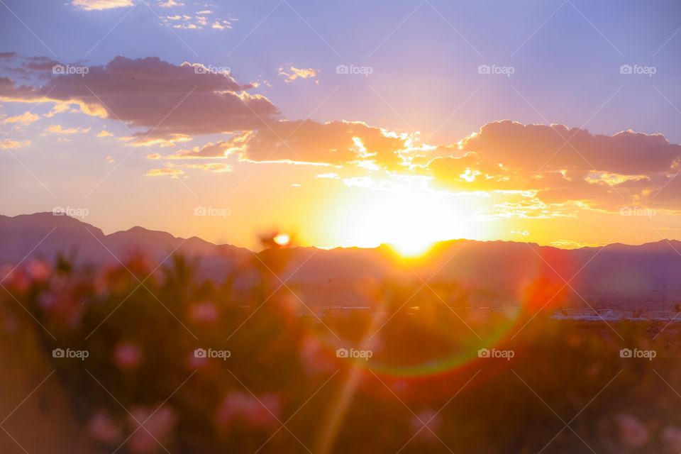 Watch the sunset slowly glide down into the mountains of Southern Nevada. A natural lens flare with no edits was captured with my Canon 5D Mk4 DSLR and a 200 lens.
The flowers at the front in bokeh are called “Monkey Flowers.” 🌸
📸A version with the flowers up close with the sunset background in bokeh can also be found in my gallery. 