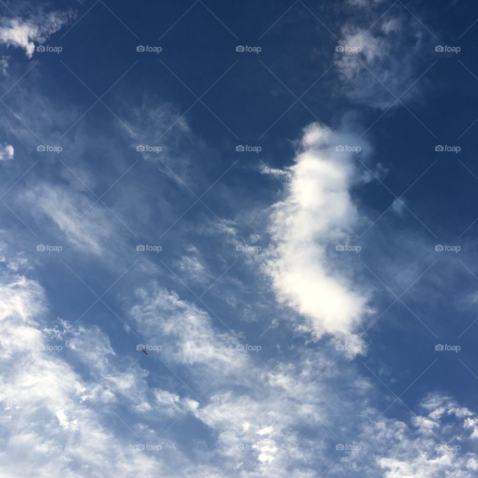 Cloud 