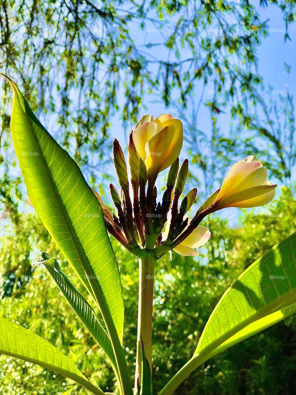 Upload photos of the month March