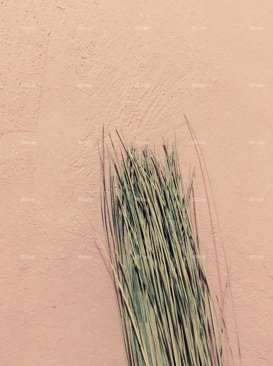 Broom on a wall 