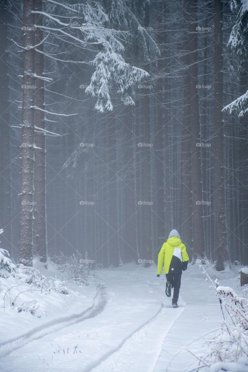 A Boy Running into the Misty Woods