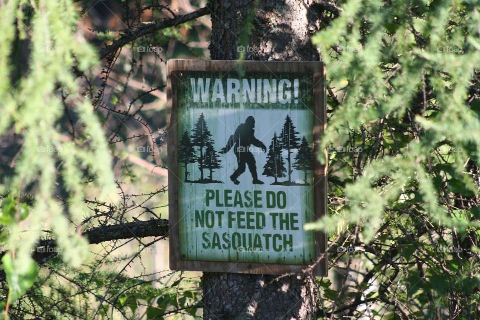 Bigfoot sign