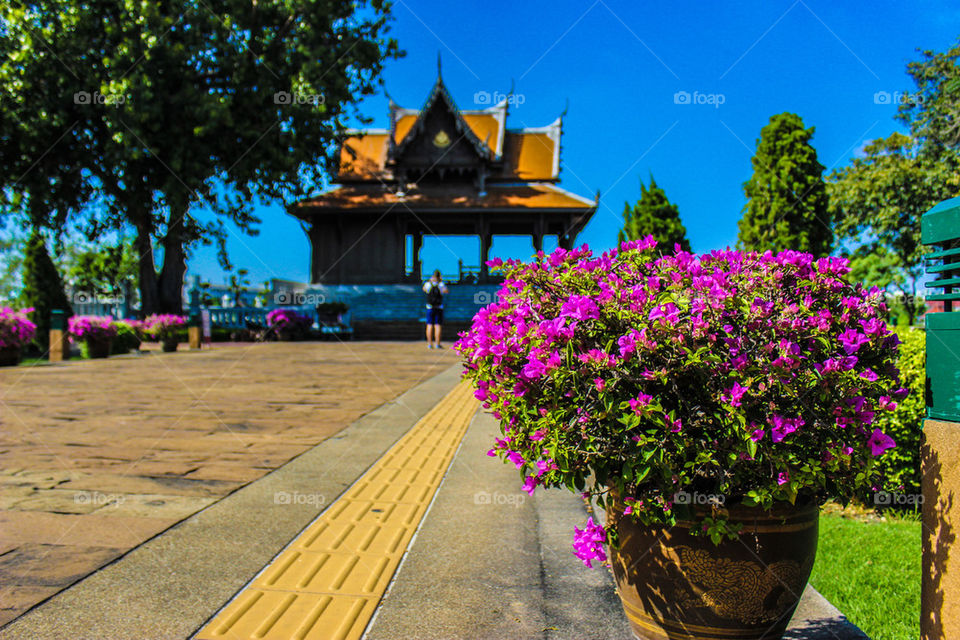 Thailand 