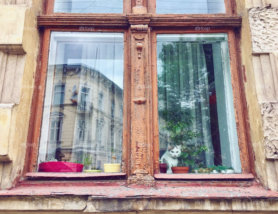 Window, Architecture, Old, House, Wood