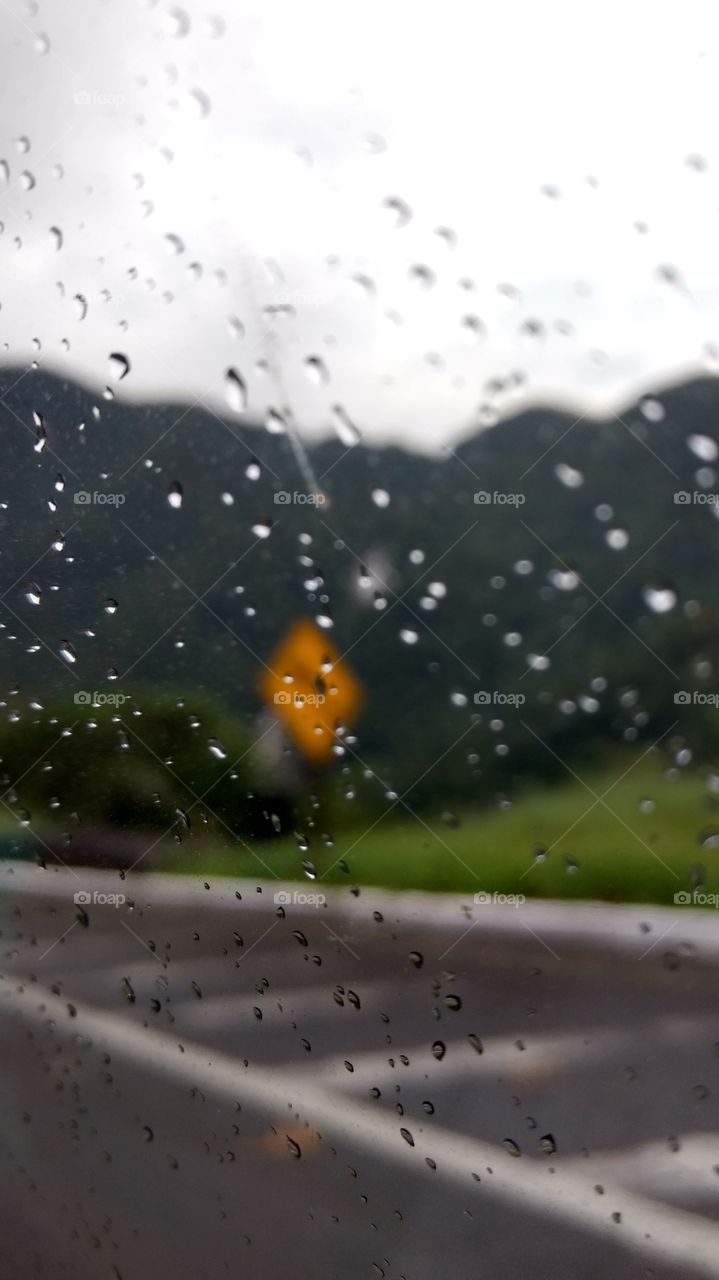 raindrops in the window