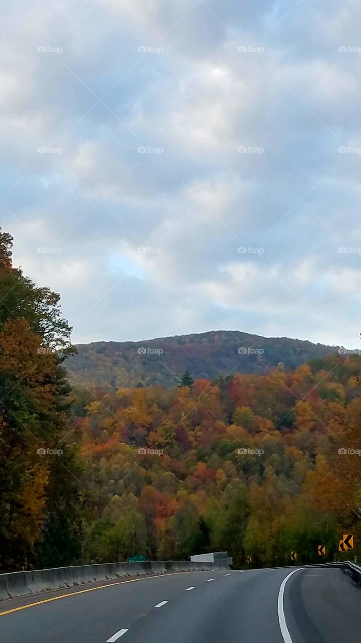 fall in the Gorge