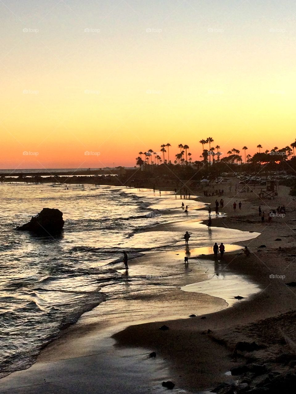 Scenic view of beach at sunset