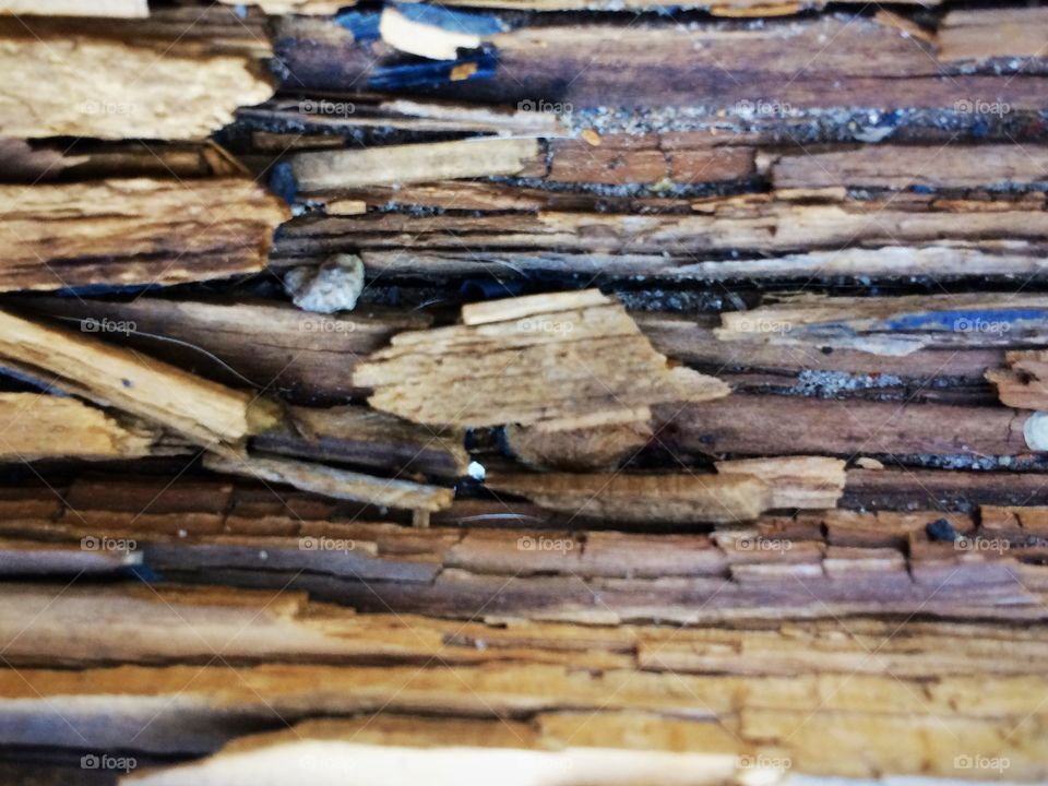 Rotten plank of wood 