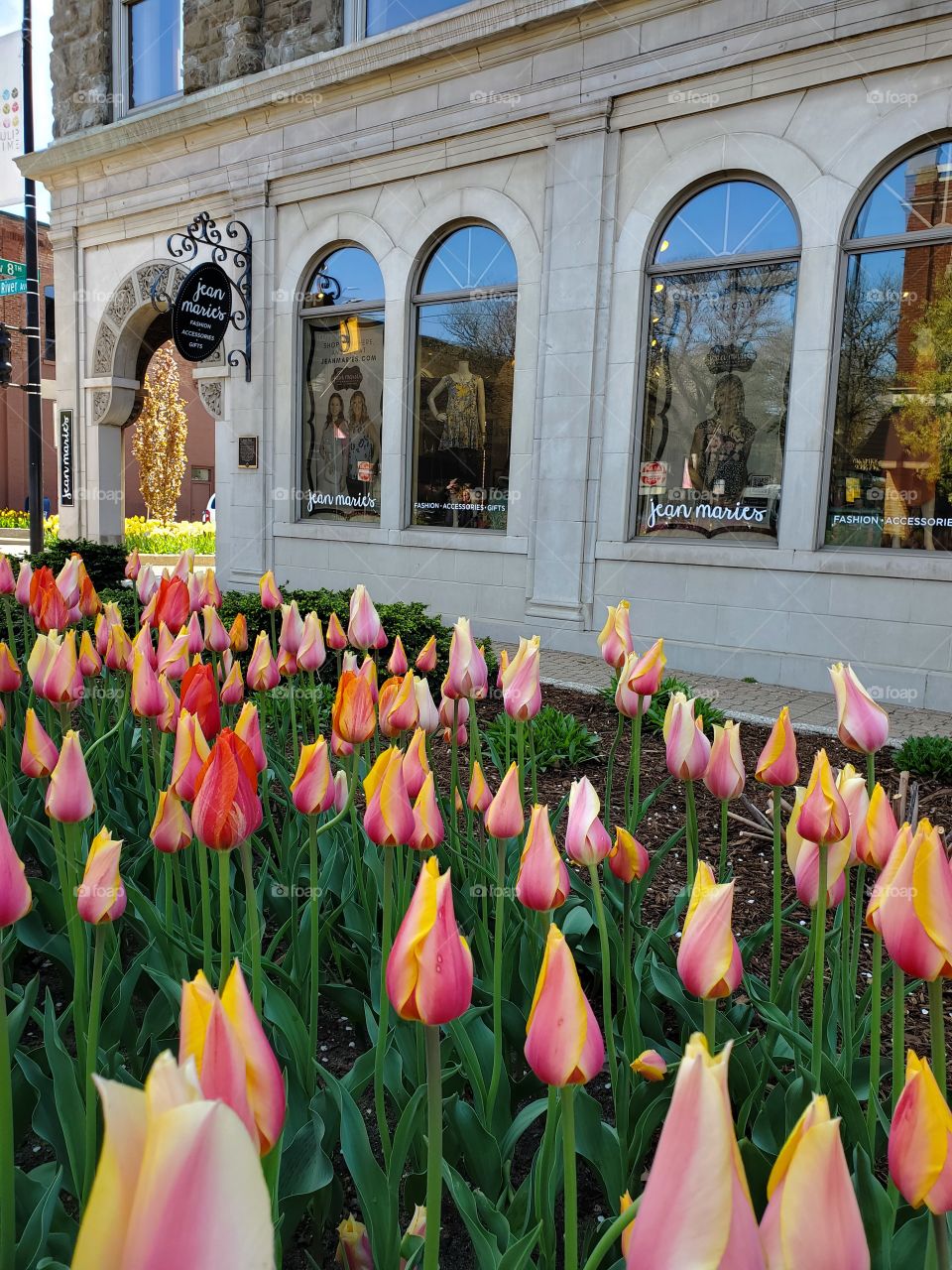 Holland Michigan Downtown Jean Marie's Tulip Time