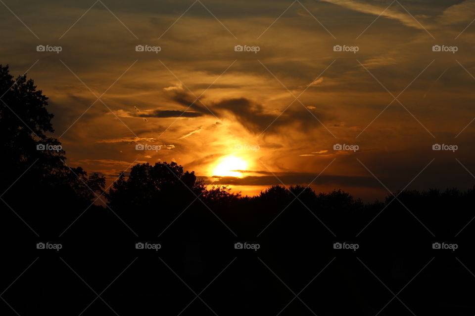 Sunset over tree line