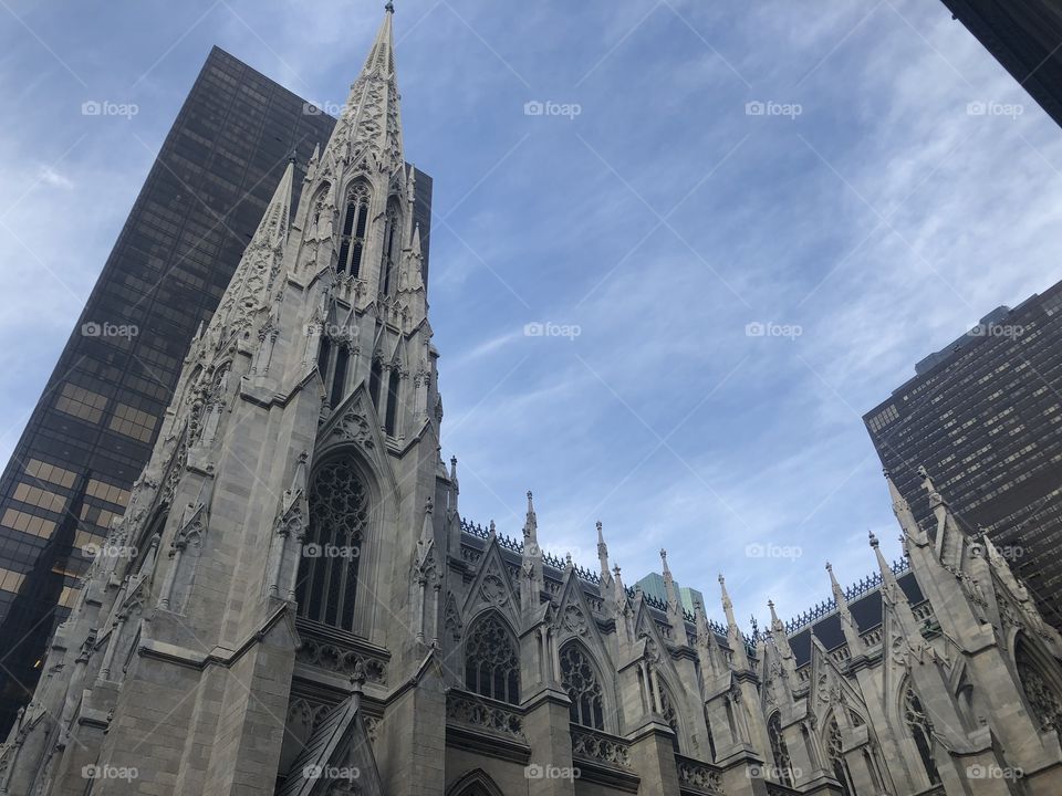 The Cathedral in Ny