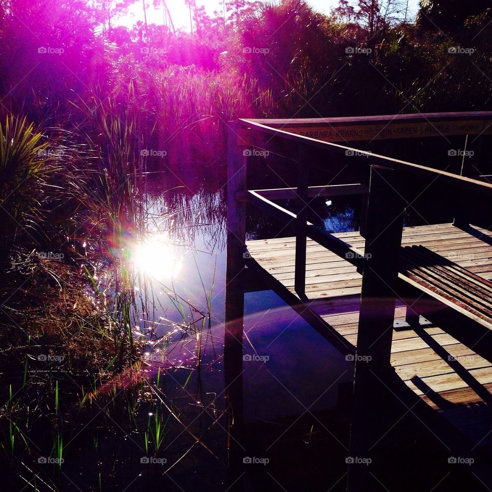 Dock in the sunshine