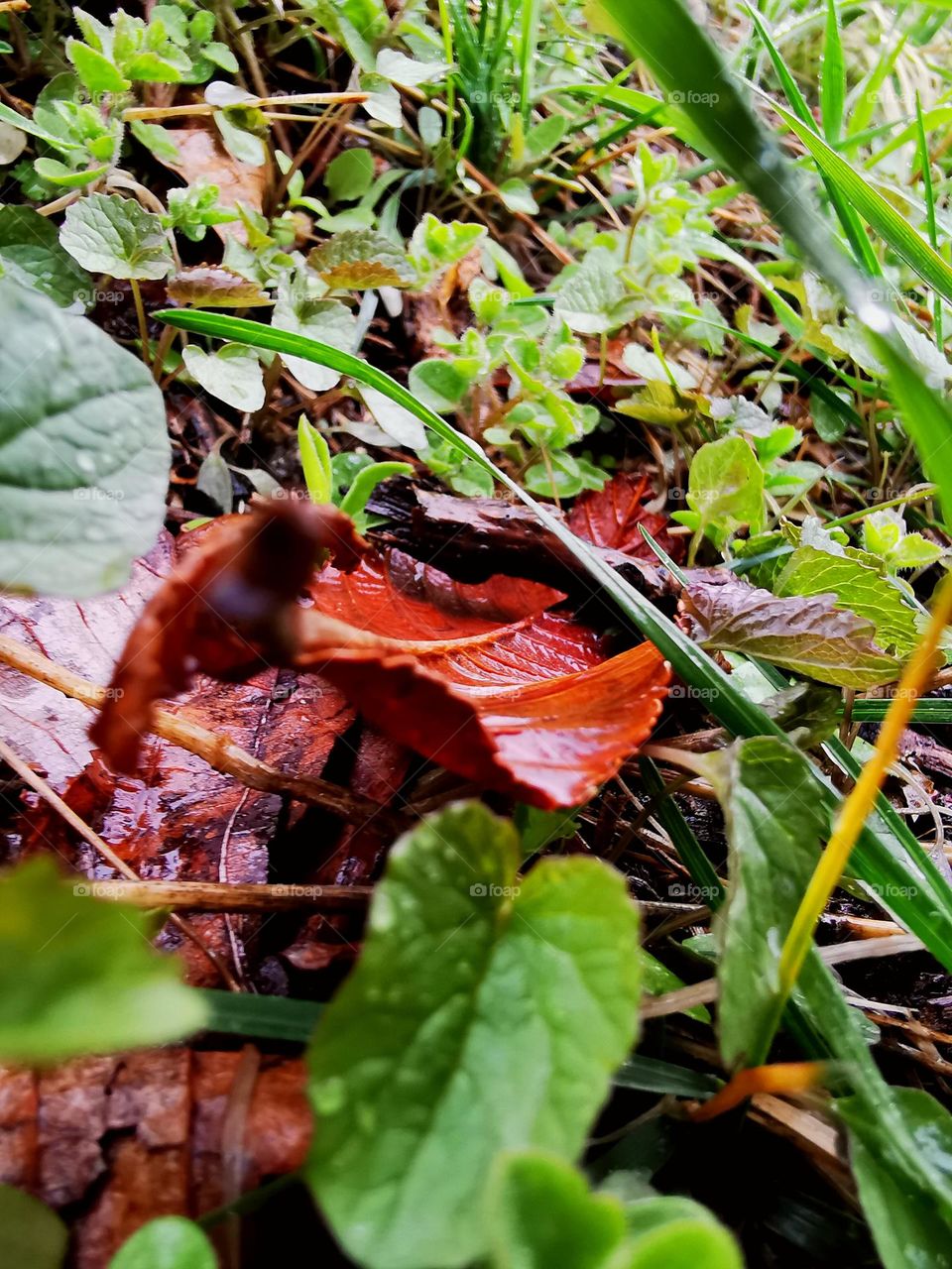 Battle od summer vs fall