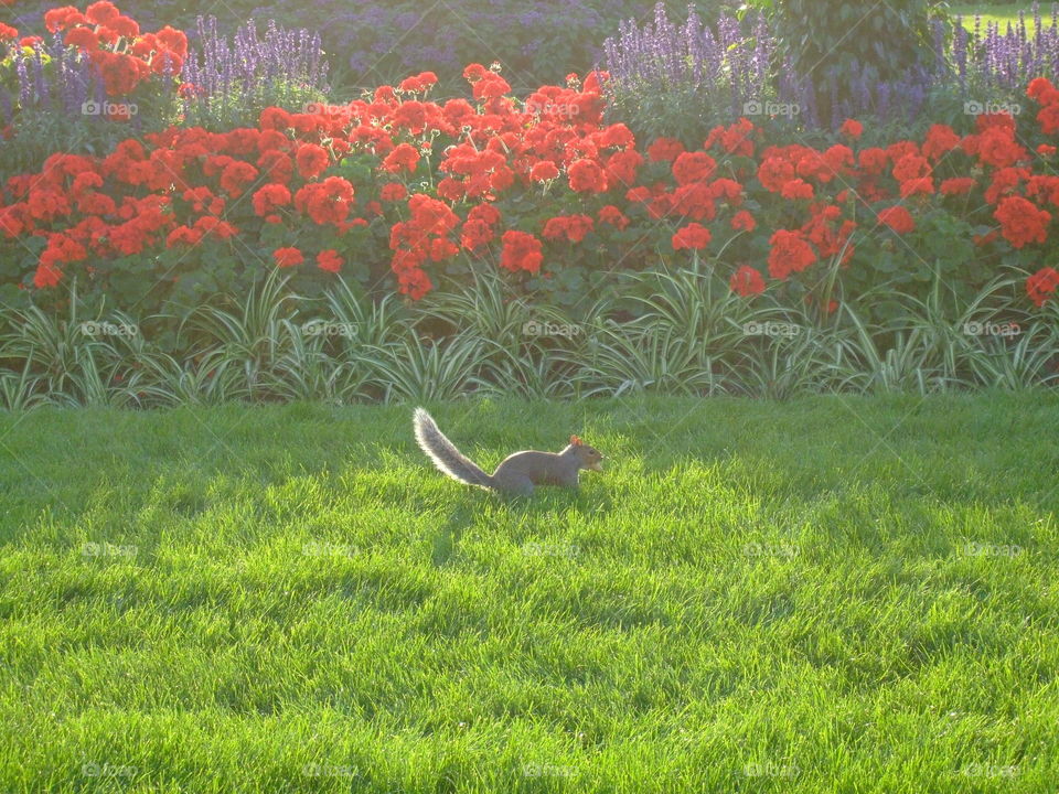 trip to London-England 2012