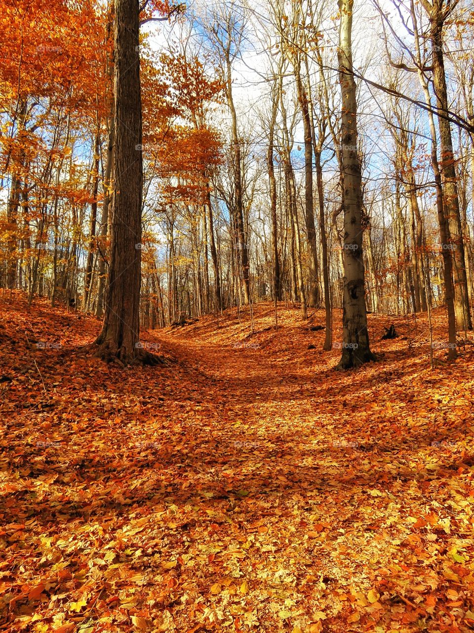 Fall Mont St-Bruno