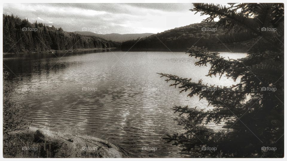 Lake, Water, Landscape, River, Reflection