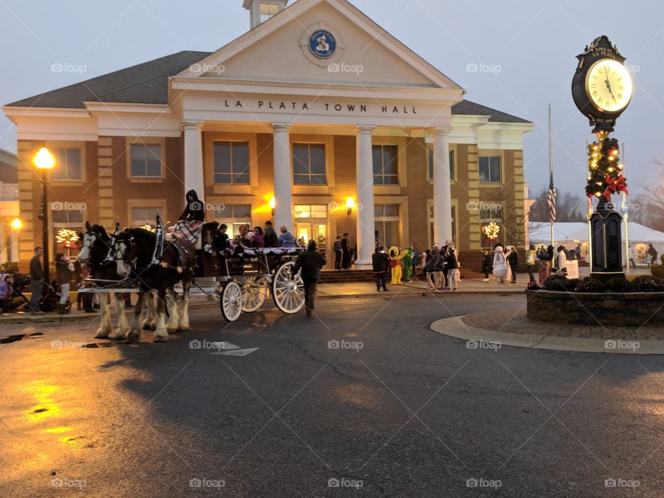 Christmas at the Town Hall with Clydesdales and carriage