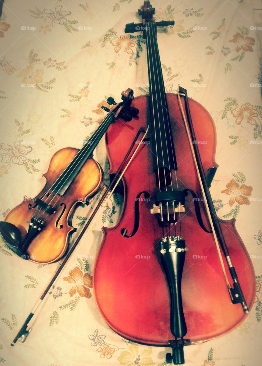 Violin & Cello - Strings Family