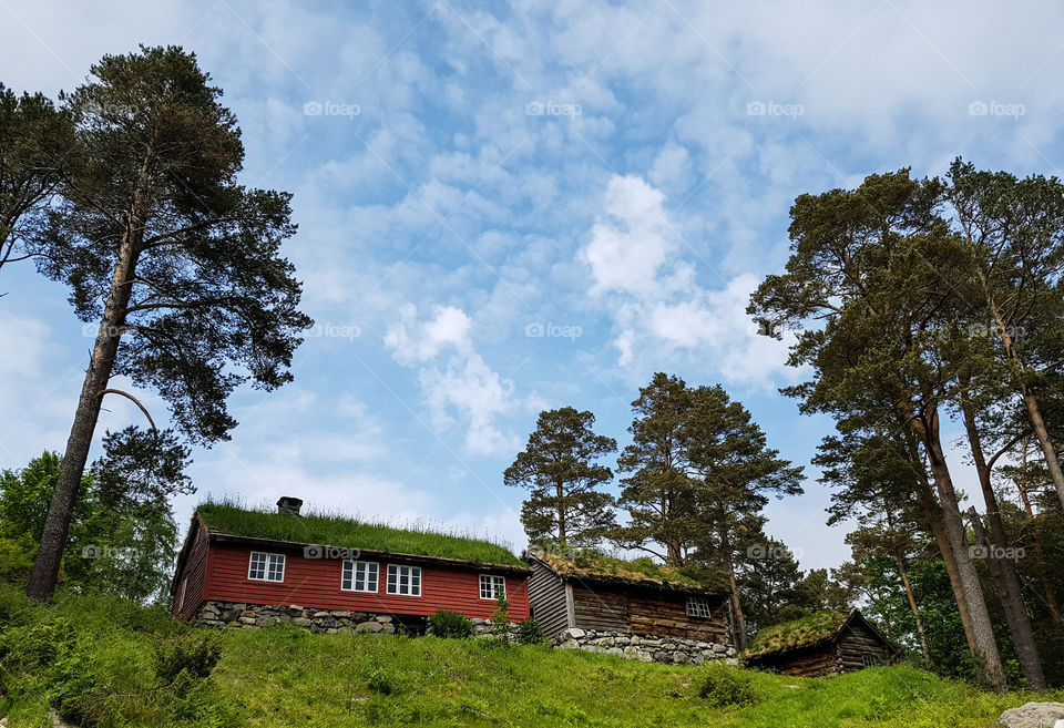 Old Cabins