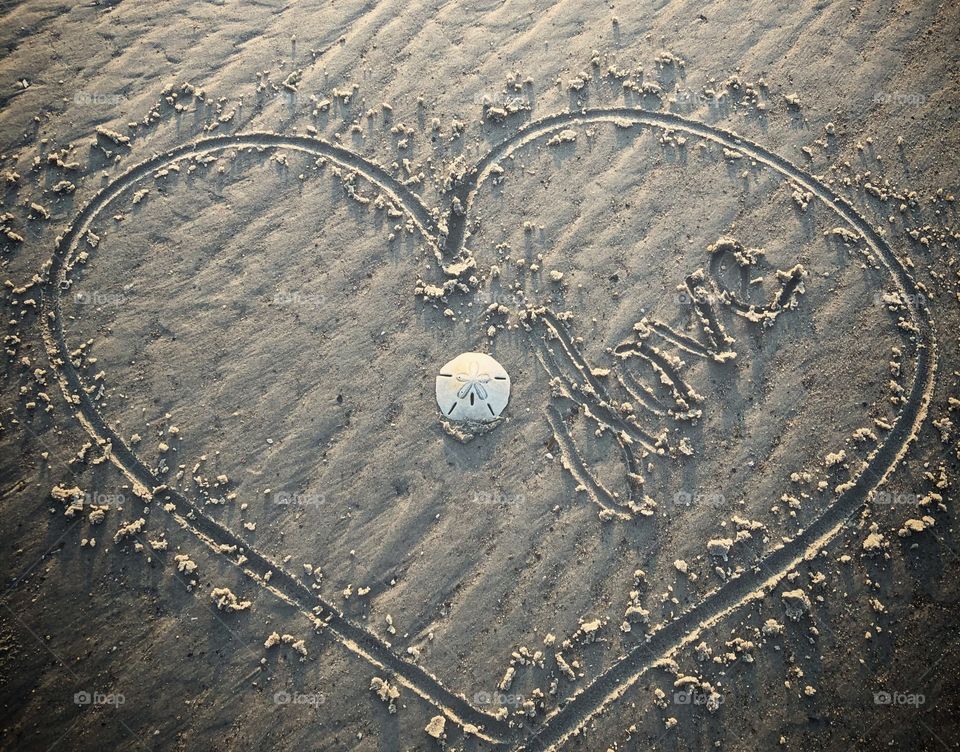 Sanddollar love