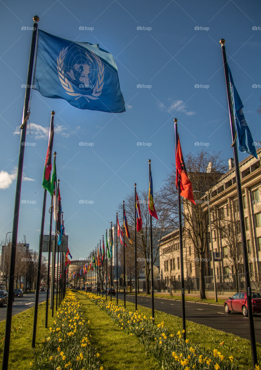 UN county flags