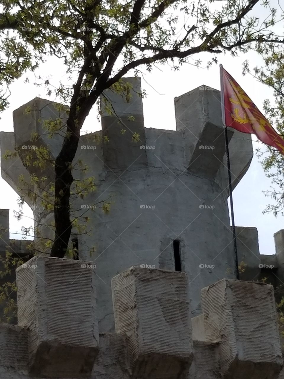 Sherwood Forest Faire pic set