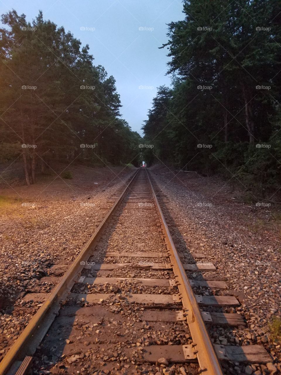train coming at dusk