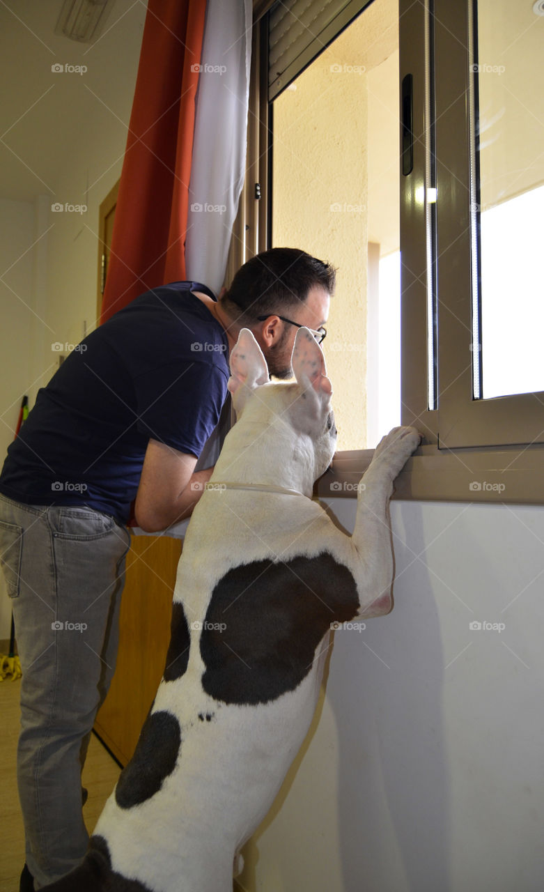 mirando por la ventana