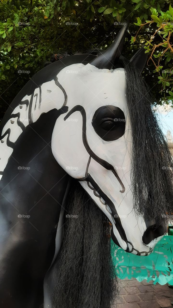 Black horse, Black,horse,day of the dead,tradition,México,colorful,skeleton,eye,altar