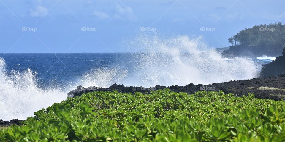 Waves and wind and blue skies