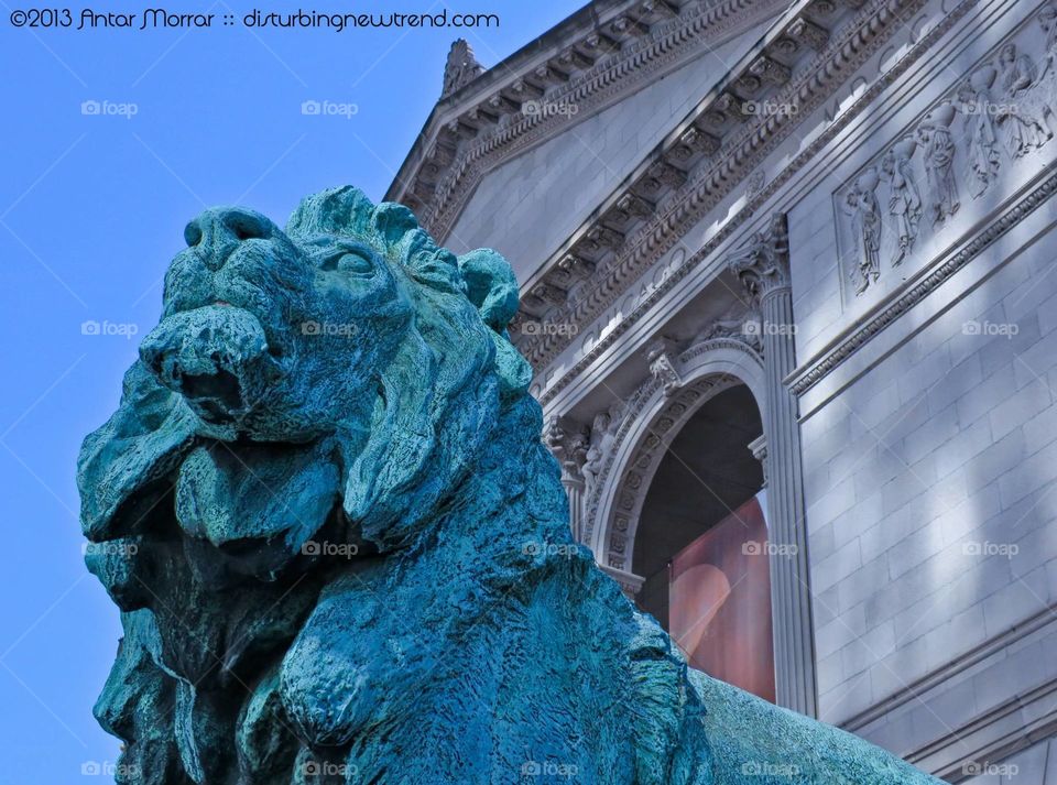 Art Institute of Chicago lion