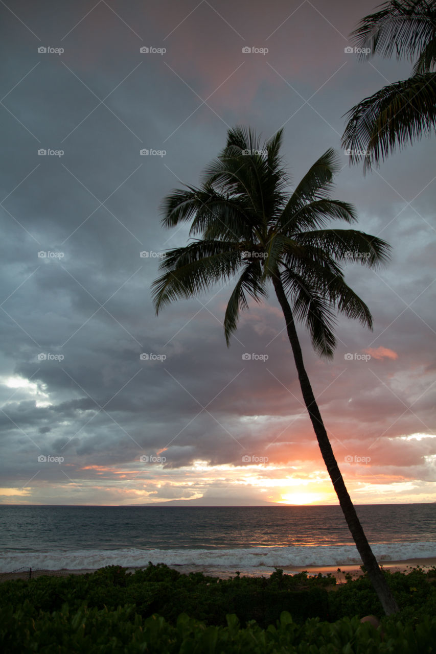 One more beautiful Hawaiian Sunset 