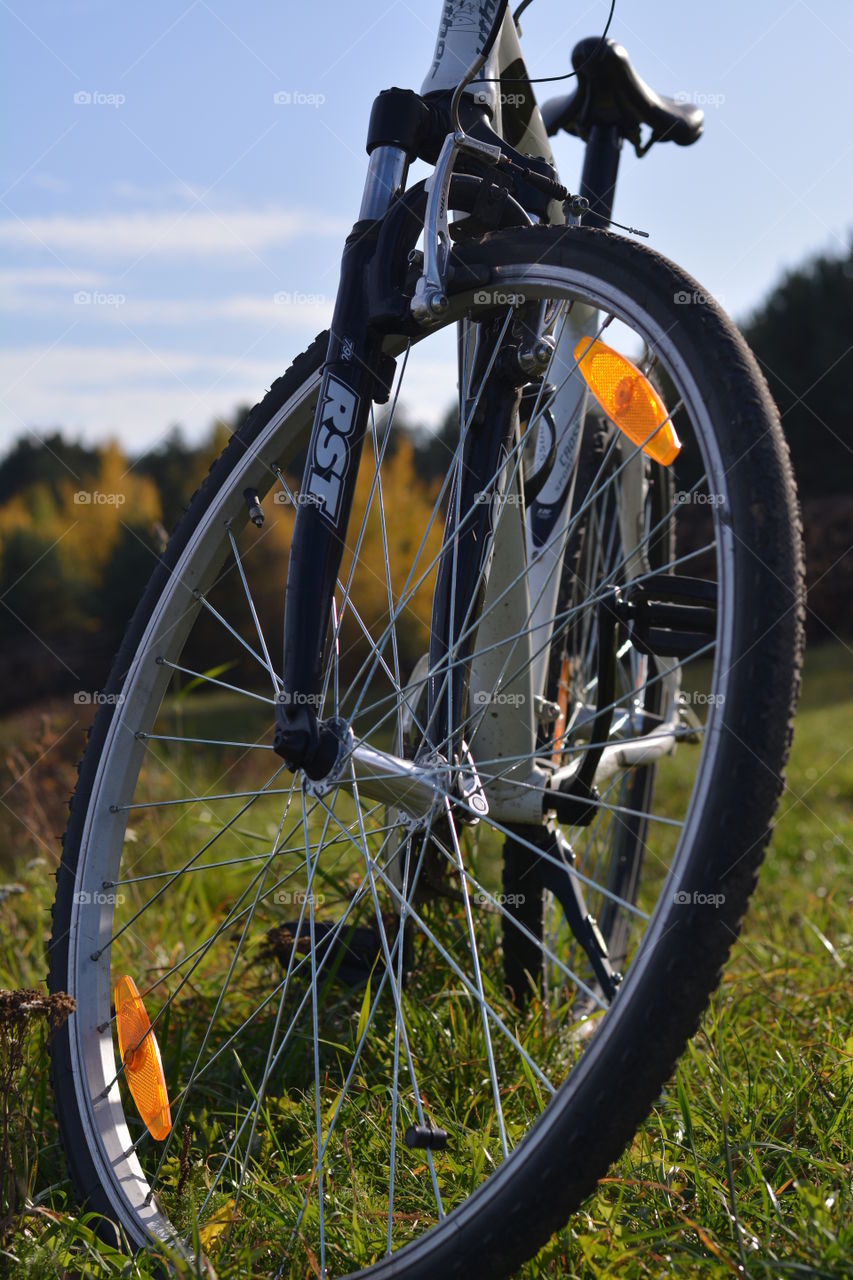 bike on a lake shore beautiful autumn landscape