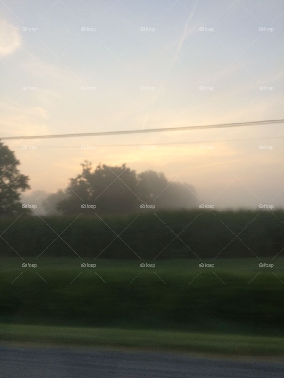 Foggy landscape 