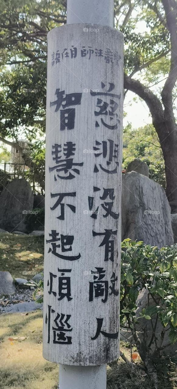 Compassion has no enemies, wisdom has no troubles