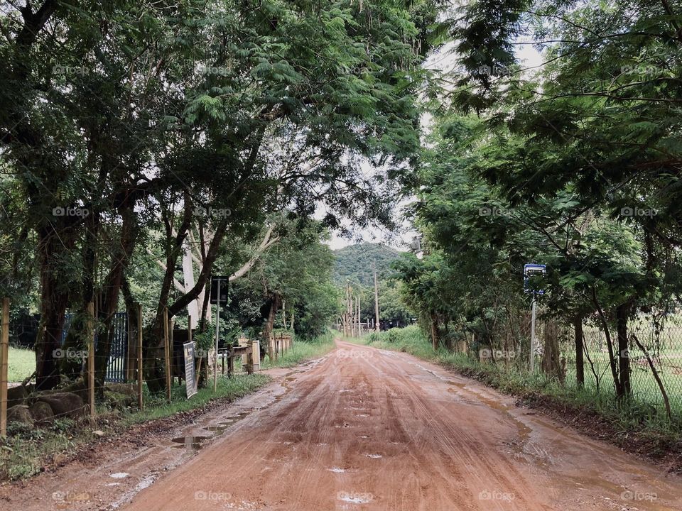 Serra do Japi, com muita água, lama, verde e ar puro. 
Aqui, independente do tempo, sempre você se sente bem!
🍃📸 🌧 
#FOTOGRAFIAéNOSSOhobby
#paisagem #landscapes #inspiration #SerraDoJapi #Jundiaí 