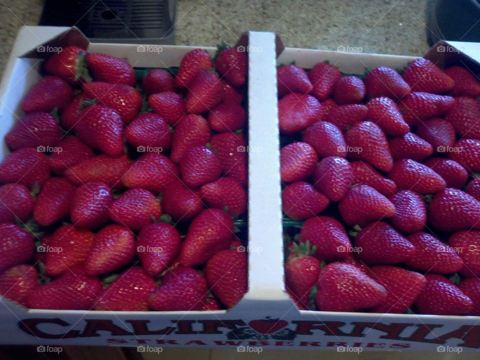 Santa Maria, California Strawberries