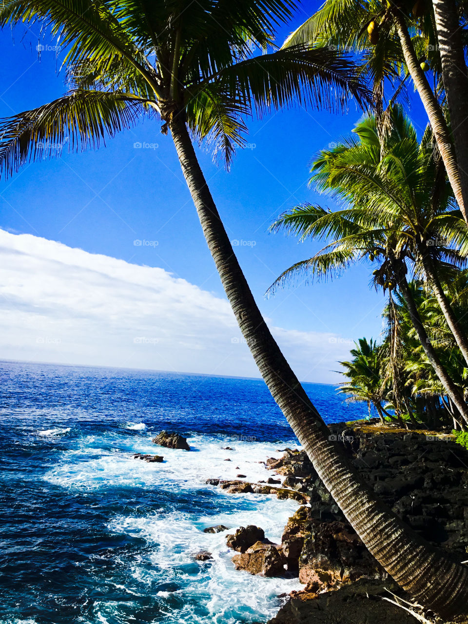 Sunny blue day on the ocean