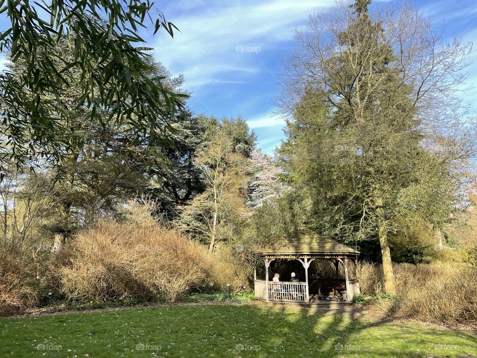 gazebo in the park in early spring