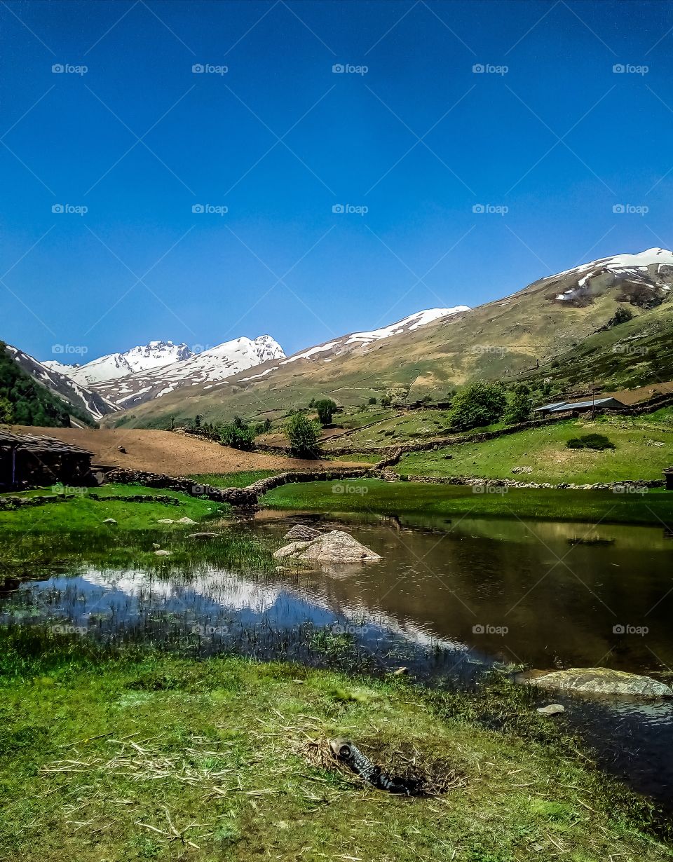 Amazing View Of Snow Mountain In The Water. The beauty of the photo tells itself. Blue Sky, Snow Mountain with Green Trees.