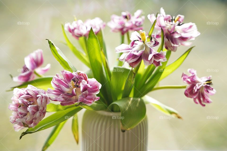 Bouquet of flowers in a vase