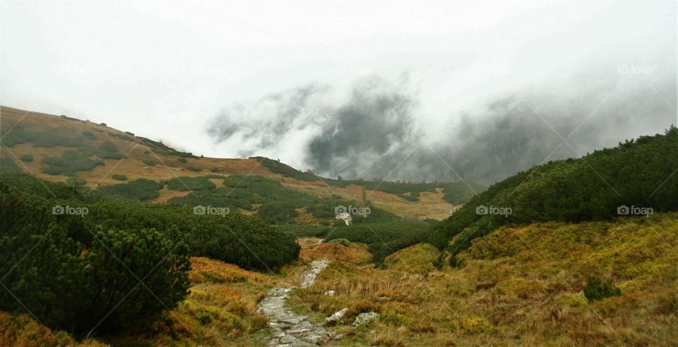 Beautiful trail going down in the misty mountains