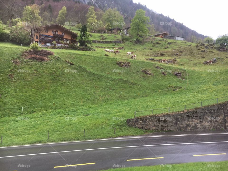 Switzerland Village 