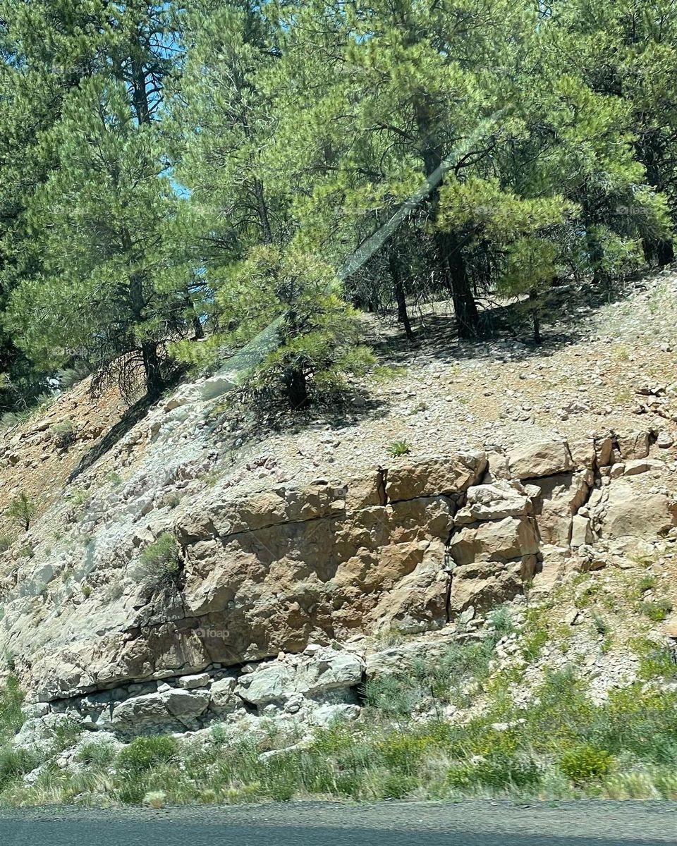 Perfect morning driving 