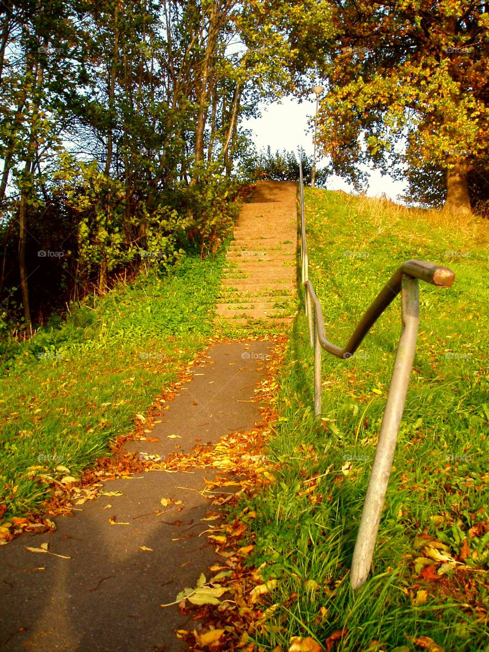 Autumn stairs