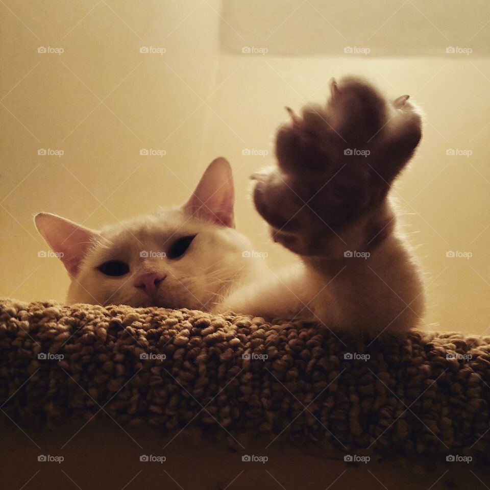 always plotting against you